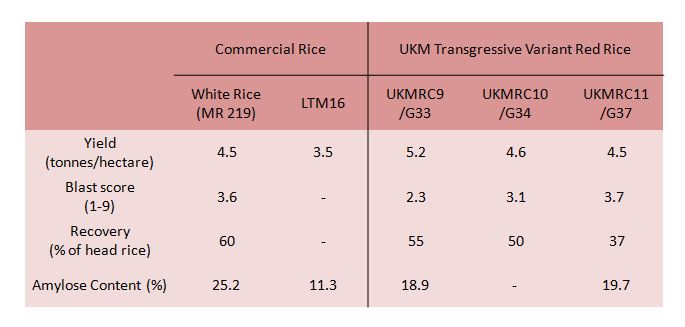 Comparison of Red Rice Lines with Commercial Rice in the Market